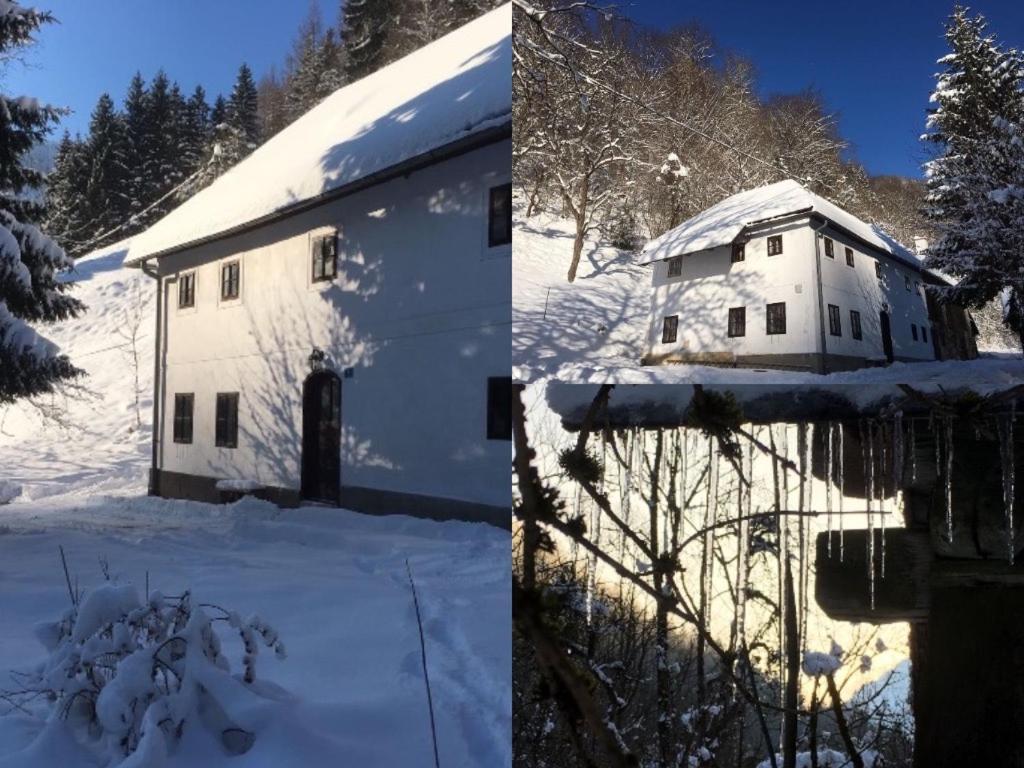 Forsthaus Gut Traunfried Villa Ramsau am Dachstein Exterior foto