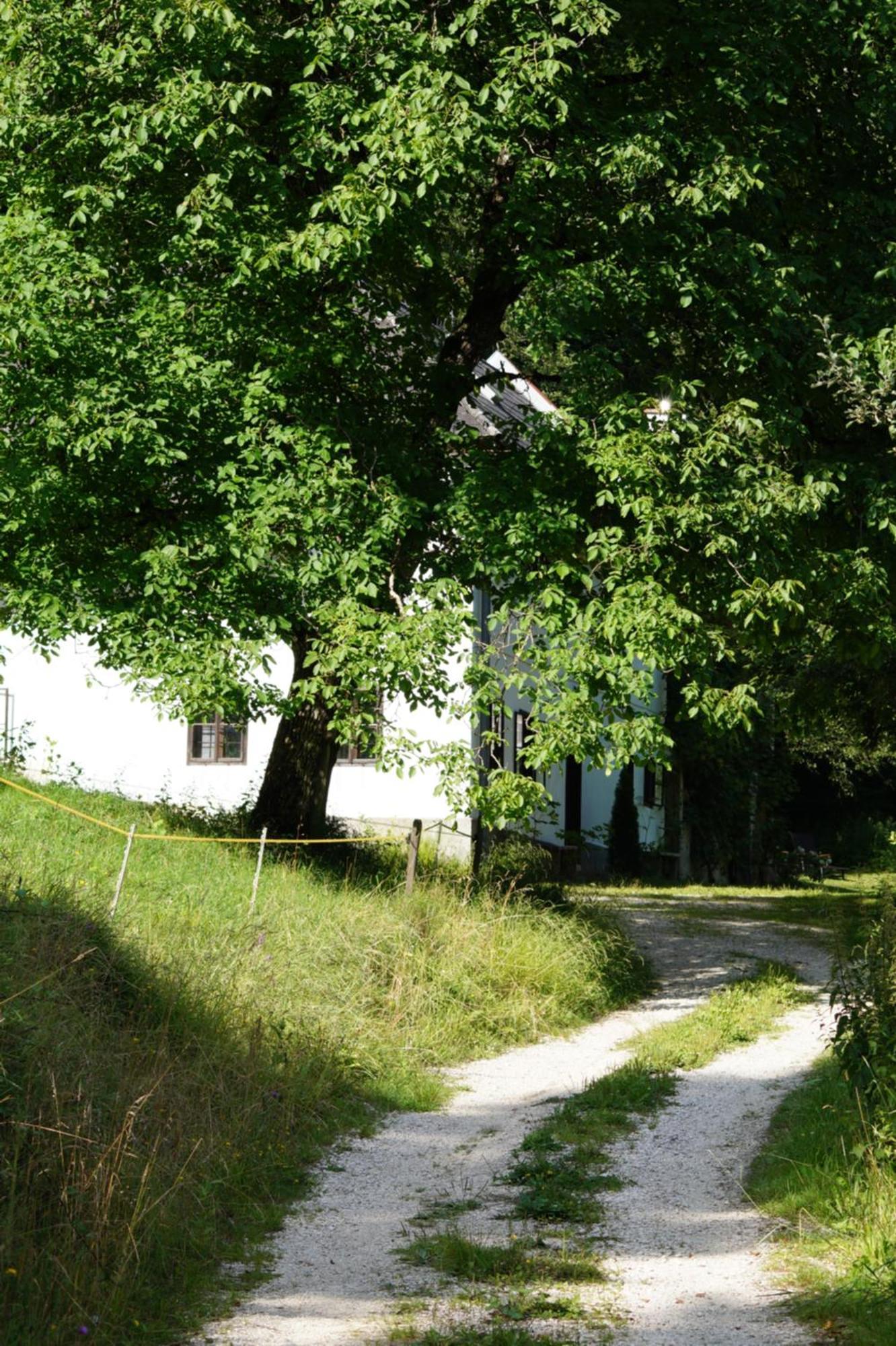 Forsthaus Gut Traunfried Villa Ramsau am Dachstein Exterior foto