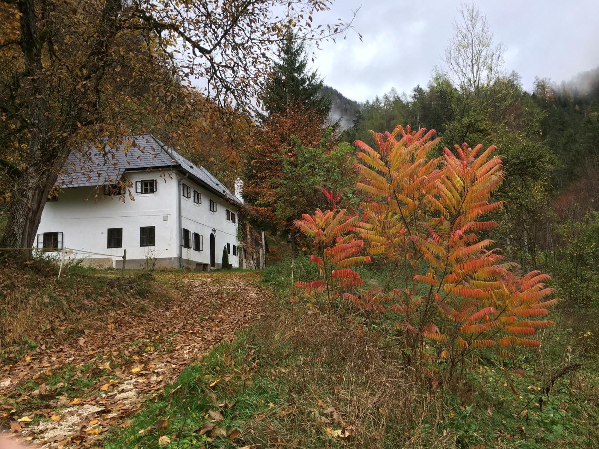 Forsthaus Gut Traunfried Villa Ramsau am Dachstein Exterior foto